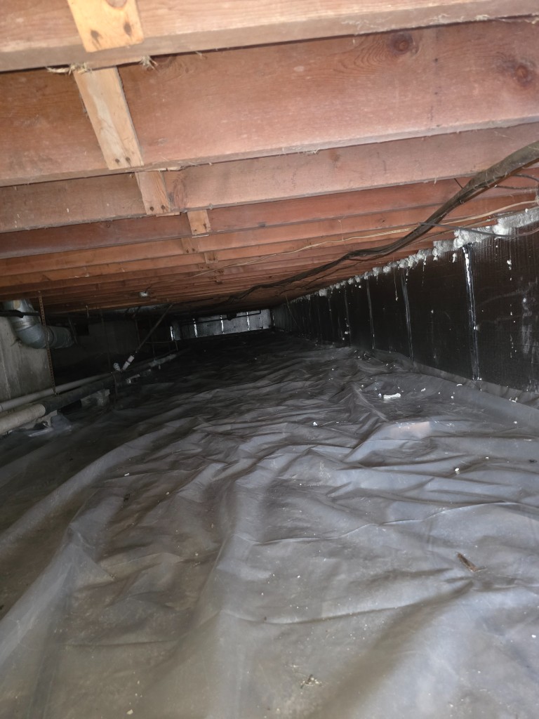 Completed crawlspace encapsulation with vapor barrier on the floor, insulated foundation walls, and spray foam at the rim joist